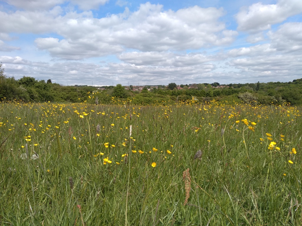 Week 1 | Houses, Homes and&nbsp;Streets